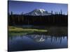 Early Morning Mt Rainier, Mt Rainier National Park, Washington-Jerry Ginsberg-Stretched Canvas