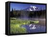 Early Morning on Reflection Lake, Mt. Rainier National Park, Washington, USA-Jamie & Judy Wild-Framed Stretched Canvas