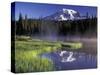 Early Morning on Reflection Lake, Mt. Rainier National Park, Washington, USA-Jamie & Judy Wild-Stretched Canvas