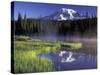 Early Morning on Reflection Lake, Mt. Rainier National Park, Washington, USA-Jamie & Judy Wild-Stretched Canvas