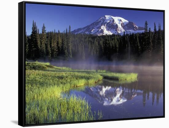 Early Morning on Reflection Lake, Mt. Rainier National Park, Washington, USA-Jamie & Judy Wild-Framed Stretched Canvas