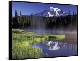 Early Morning on Reflection Lake, Mt. Rainier National Park, Washington, USA-Jamie & Judy Wild-Framed Stretched Canvas