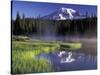 Early Morning on Reflection Lake, Mt. Rainier National Park, Washington, USA-Jamie & Judy Wild-Stretched Canvas