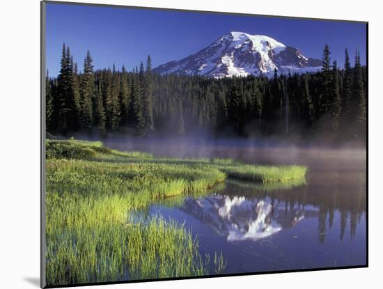 Early Morning on Reflection Lake, Mt. Rainier National Park, Washington, USA-Jamie & Judy Wild-Mounted Premium Photographic Print