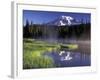 Early Morning on Reflection Lake, Mt. Rainier National Park, Washington, USA-Jamie & Judy Wild-Framed Photographic Print