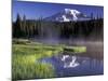 Early Morning on Reflection Lake, Mt. Rainier National Park, Washington, USA-Jamie & Judy Wild-Mounted Photographic Print