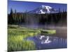 Early Morning on Reflection Lake, Mt. Rainier National Park, Washington, USA-Jamie & Judy Wild-Mounted Photographic Print