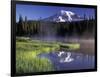 Early Morning on Reflection Lake, Mt. Rainier National Park, Washington, USA-Jamie & Judy Wild-Framed Photographic Print