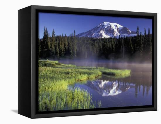 Early Morning on Reflection Lake, Mt. Rainier National Park, Washington, USA-Jamie & Judy Wild-Framed Stretched Canvas