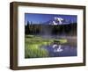 Early Morning on Reflection Lake, Mt. Rainier National Park, Washington, USA-Jamie & Judy Wild-Framed Photographic Print