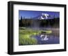 Early Morning on Reflection Lake, Mt. Rainier National Park, Washington, USA-Jamie & Judy Wild-Framed Photographic Print