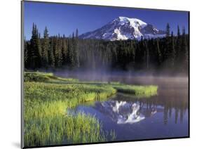 Early Morning on Reflection Lake, Mt. Rainier National Park, Washington, USA-Jamie & Judy Wild-Mounted Photographic Print