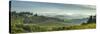 Early Morning Panoramic View of Misty Hills, Near San Gimignano, Tuscany, Italy, Europe-John Miller-Stretched Canvas