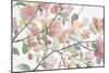 Early Morning Petals-Norman Wyatt Jr.-Mounted Art Print