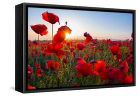 Early Morning Red Poppy Field Scene-Yuriy Kulik-Framed Stretched Canvas