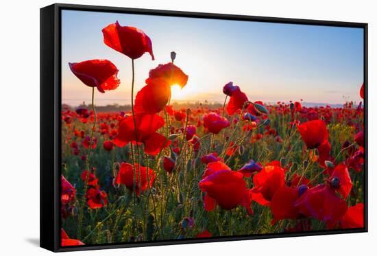 Early Morning Red Poppy Field Scene-Yuriy Kulik-Framed Stretched Canvas