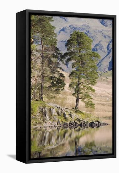 Early Morning Reflections, Blea Tarn, Above Little Langdale-Ruth Tomlinson-Framed Stretched Canvas