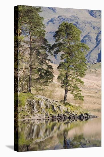 Early Morning Reflections, Blea Tarn, Above Little Langdale-Ruth Tomlinson-Stretched Canvas