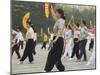 Early Morning Tai Chi Exercises, Taipei City, Taiwan-Christian Kober-Mounted Photographic Print