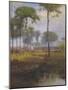 Early Morning, Tarpon Springs, 1892-George Inness Snr.-Mounted Giclee Print