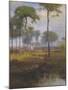 Early Morning, Tarpon Springs, 1892-George Inness Snr.-Mounted Giclee Print