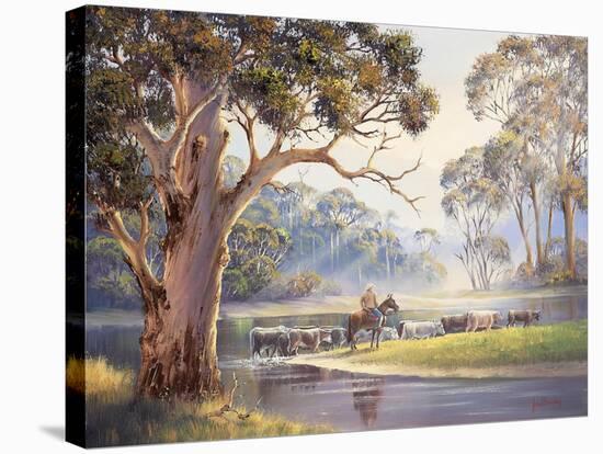 Early Morning - Vacy-John Bradley-Stretched Canvas