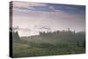 Early Morning View across Misty Hills, Near Certaldo, Tuscany, Italy, Europe-John-Stretched Canvas