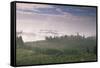 Early Morning View across Misty Hills, Near Certaldo, Tuscany, Italy, Europe-John-Framed Stretched Canvas