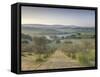 Early Morning View across Val D'Orcia from Field of Olive Trees, San Quirico D'Orcia, Near Pienza-Lee Frost-Framed Stretched Canvas