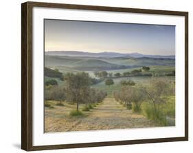 Early Morning View across Val D'Orcia from Field of Olive Trees, San Quirico D'Orcia, Near Pienza-Lee Frost-Framed Photographic Print