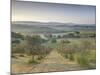 Early Morning View across Val D'Orcia from Field of Olive Trees, San Quirico D'Orcia, Near Pienza-Lee Frost-Mounted Photographic Print