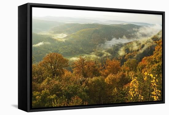 Early Morning View from Wegelnburg Castle of the Palatinate Forest-Jochen Schlenker-Framed Stretched Canvas