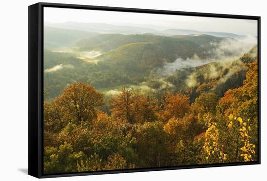 Early Morning View from Wegelnburg Castle of the Palatinate Forest-Jochen Schlenker-Framed Stretched Canvas