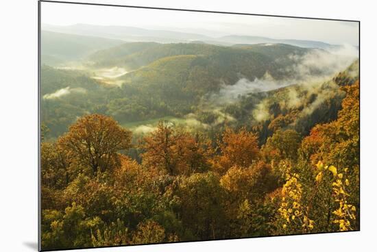 Early Morning View from Wegelnburg Castle of the Palatinate Forest-Jochen Schlenker-Mounted Photographic Print