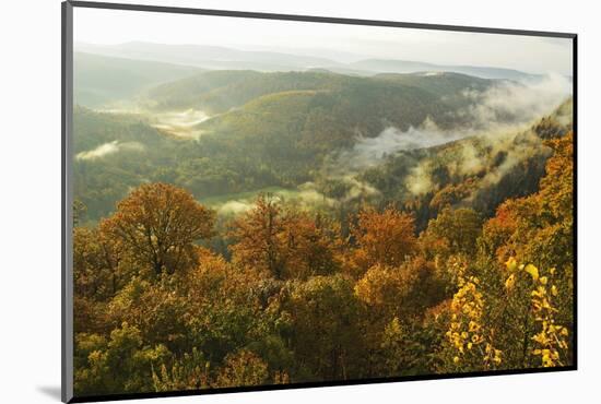 Early Morning View from Wegelnburg Castle of the Palatinate Forest-Jochen Schlenker-Mounted Photographic Print