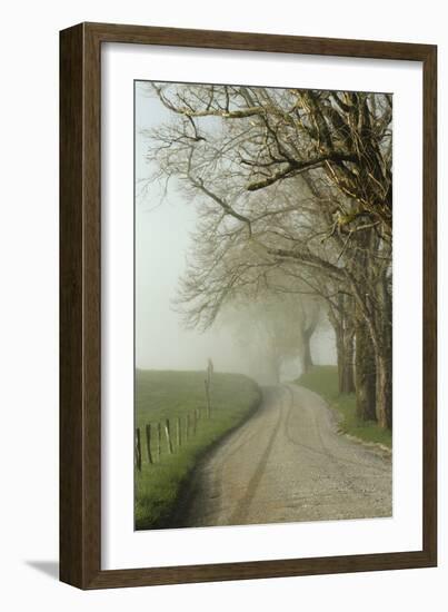 Early Morning View of Sparks Lane, Cades Cove, Great Smoky Mountains National Park, Tennessee-Adam Jones-Framed Photographic Print