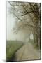 Early Morning View of Sparks Lane, Cades Cove, Great Smoky Mountains National Park, Tennessee-Adam Jones-Mounted Photographic Print