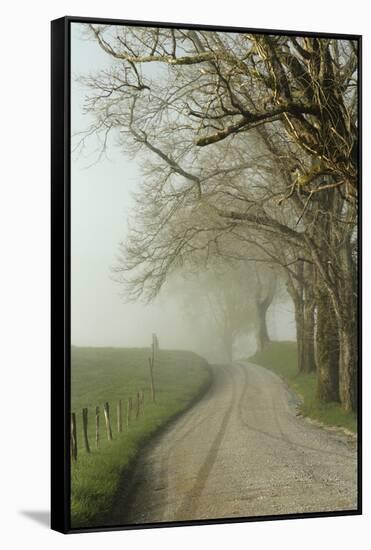 Early Morning View of Sparks Lane, Cades Cove, Great Smoky Mountains National Park, Tennessee-Adam Jones-Framed Stretched Canvas