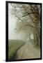 Early Morning View of Sparks Lane, Cades Cove, Great Smoky Mountains National Park, Tennessee-Adam Jones-Framed Photographic Print