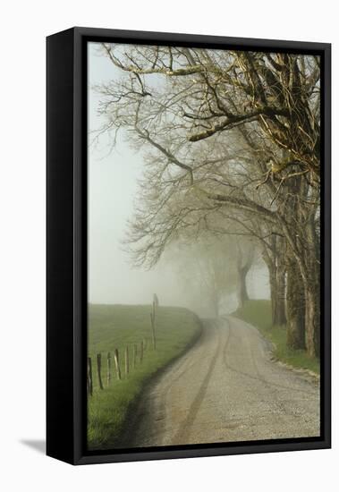 Early Morning View of Sparks Lane, Cades Cove, Great Smoky Mountains National Park, Tennessee-Adam Jones-Framed Stretched Canvas