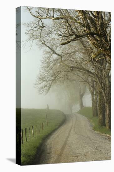 Early Morning View of Sparks Lane, Cades Cove, Great Smoky Mountains National Park, Tennessee-Adam Jones-Stretched Canvas