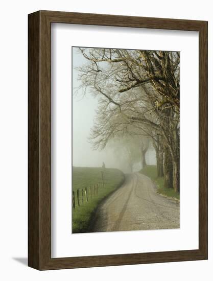 Early Morning View of Sparks Lane, Cades Cove, Great Smoky Mountains National Park, Tennessee-Adam Jones-Framed Photographic Print