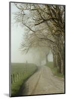 Early Morning View of Sparks Lane, Cades Cove, Great Smoky Mountains National Park, Tennessee-Adam Jones-Mounted Photographic Print