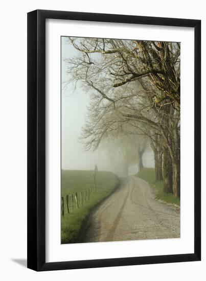 Early Morning View of Sparks Lane, Cades Cove, Great Smoky Mountains National Park, Tennessee-Adam Jones-Framed Premium Photographic Print