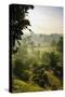 Early Morning View of the Countryside Surrounding the Temple Complex of Borobodur, Java, Indonesia-Michael Runkel-Stretched Canvas