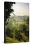 Early Morning View of the Countryside Surrounding the Temple Complex of Borobodur, Java, Indonesia-Michael Runkel-Stretched Canvas