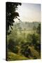 Early Morning View of the Countryside Surrounding the Temple Complex of Borobodur, Java, Indonesia-Michael Runkel-Stretched Canvas