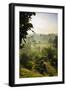 Early Morning View of the Countryside Surrounding the Temple Complex of Borobodur, Java, Indonesia-Michael Runkel-Framed Photographic Print