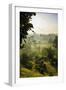 Early Morning View of the Countryside Surrounding the Temple Complex of Borobodur, Java, Indonesia-Michael Runkel-Framed Photographic Print