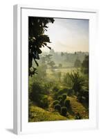 Early Morning View of the Countryside Surrounding the Temple Complex of Borobodur, Java, Indonesia-Michael Runkel-Framed Photographic Print